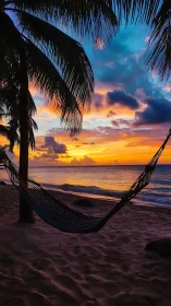 Littoral hammock silhouette under high-saturation tropical sunset.