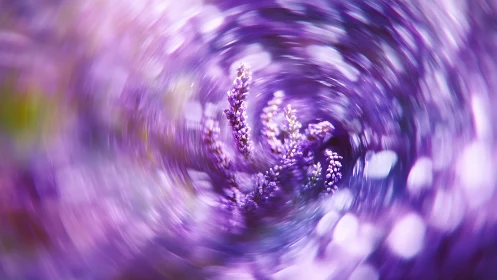 Lavender galaxy whirlpool embracing a dreamy floral heart.