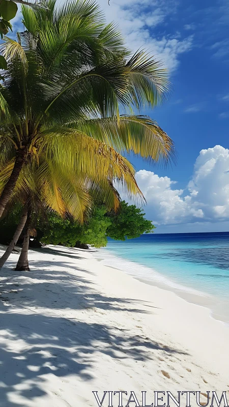 Tropical Beach Paradise. White Sand Meets Turquoise Waters.