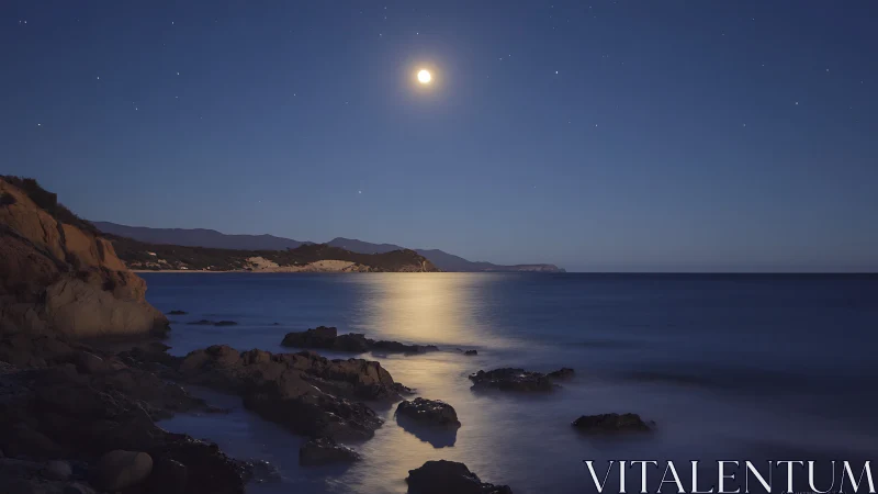 Moonlit shoreline quiets the night with silver serenity.