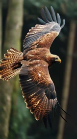 Golden eagle captured mid-bank with high-detail feather rendering