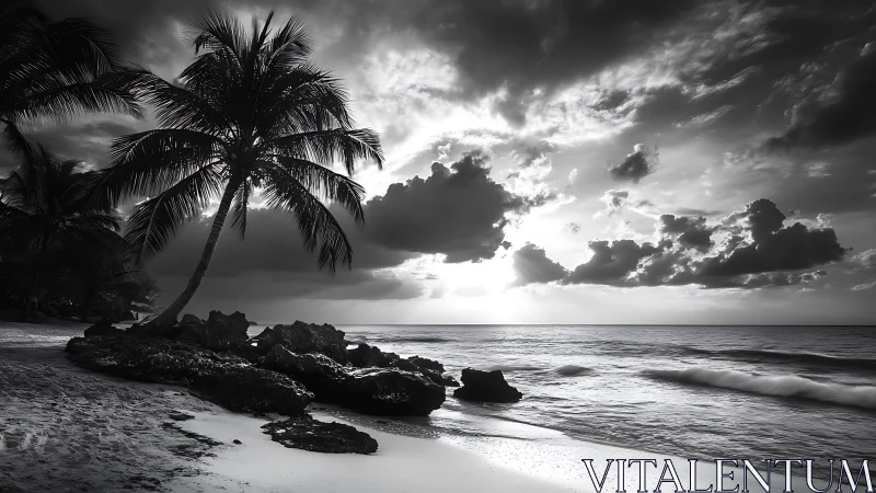 Monochrome tropical shoreline with silhouetted palm trees at dusk.