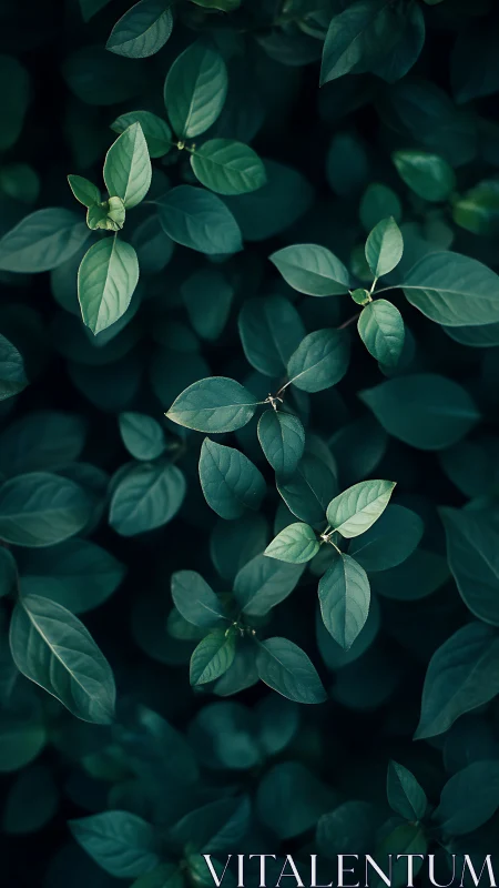 Soft forest leaves drift gently across deep green shade