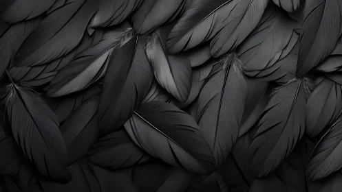 Overlapping arrangement of dark bird feathers in layers.