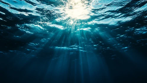 Subsurface ocean view with downward shafts of daylight.