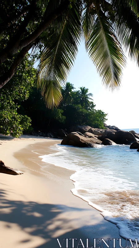 Tropical Beach Cove with Palm Trees and Rocky Outcrops.