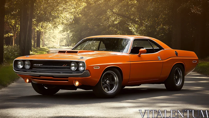 High-chroma vintage muscle coupe under diffused forest backlight.