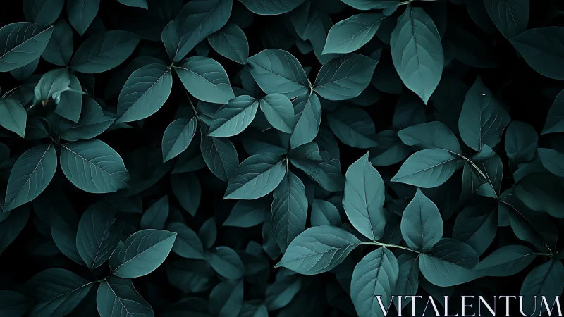 Moody teal foliage pattern with overlapping leaves texture.