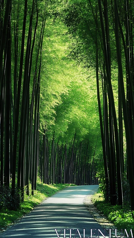 Symmetric Bamboo Grove Corridor: Linear Perspective Convergence Study.