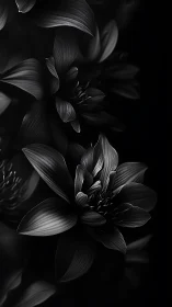 Monochromatic Floral Study: High Contrast Black and White Botanical.