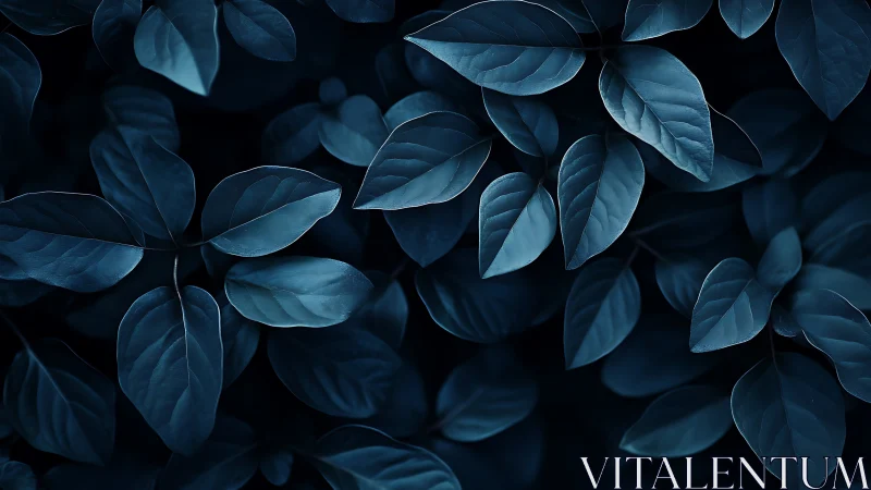Midnight blue foliage pattern in soft directional light.