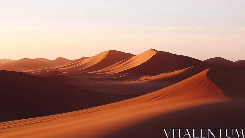 Low-sun desert dune ridges with soft atmospheric perspective