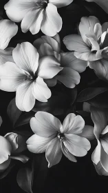Monochromatic Flowers Against Darkness.