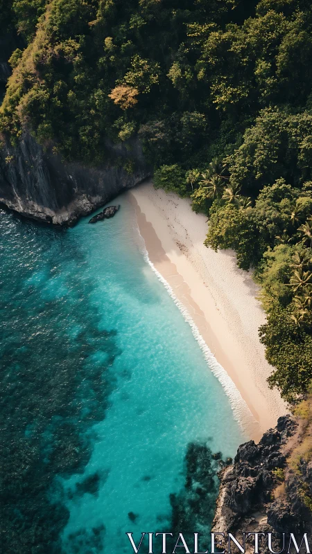 Aerial Coastal Composition: Turquoise Lagoon Meeting Forested Cliffs
