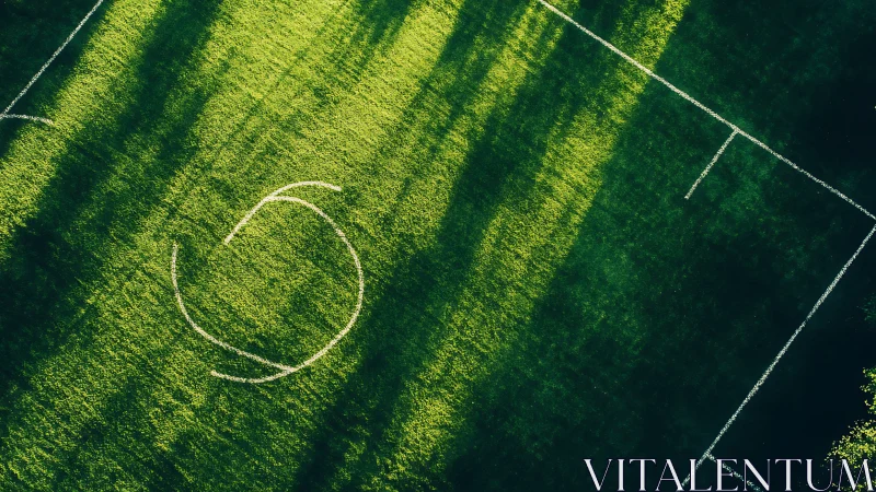 Sunlit sports field with partial white circle marking.