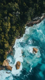 Steep forested cliff meets turquoise surf in dynamic aerial view