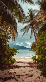 Tropical Beach Cove Framed by Coconut Palms and Mountain Vista