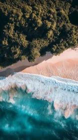 Aerial shoreline interface of dense forest, sand and surf