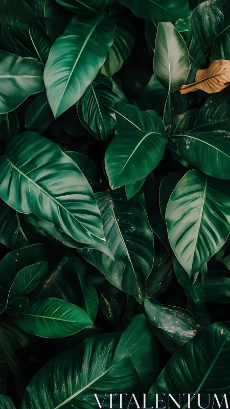 Emerald jungle tapestry with one rebellious golden leaf.