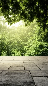 Stone terrace foreground under dense green tree canopy.