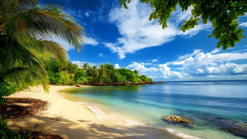 Paradise Cove: Where Emerald Shores Meet Crystalline Waters.