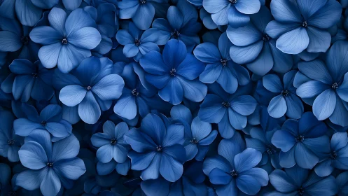 Blue floral cluster with five-petal blooms in tight composition.