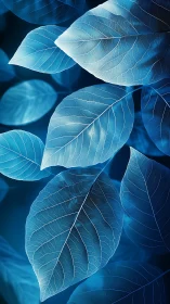 Translucent blue leaves reveal intricate vein networks