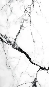 Marble fractures trace quiet lightning through frozen white stone.