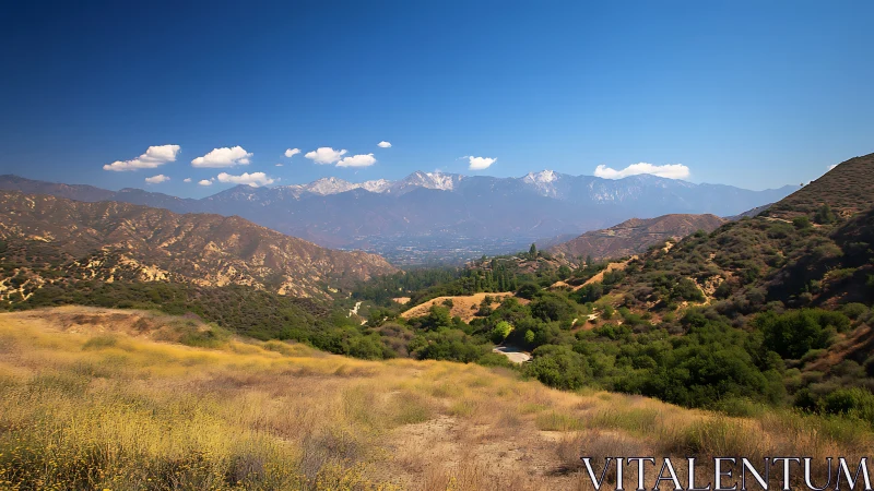 Sunlit chaparral hills with distant snow-capped mountain range.