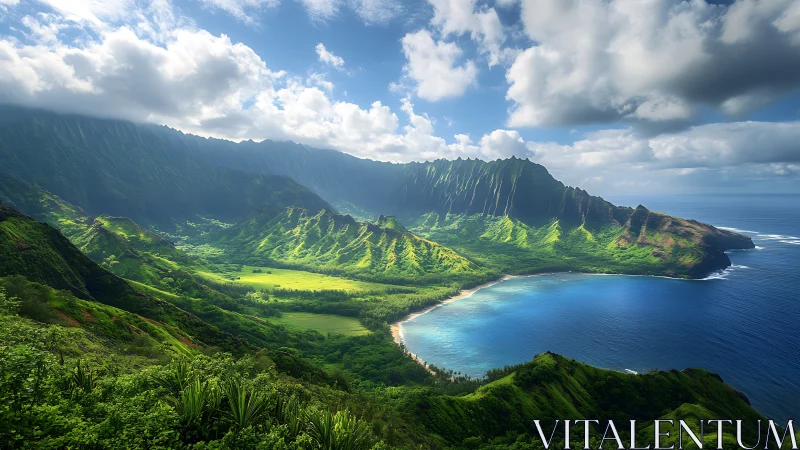 Lush Hawaiian Valley Meets Turquoise Ocean in Paradise