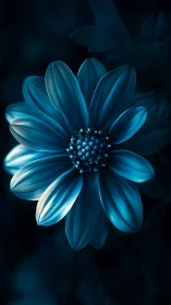 Deep Blue Cosmos Flower: Radiant Petals Against Midnight Void.