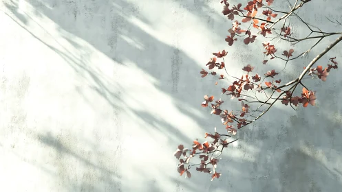 Minimalist branch with red leaves casting shadows on a pale wall.