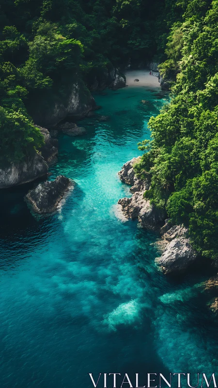 Turquoise Sanctuary: Where Jungle Whispers Meet Crystal Waters.