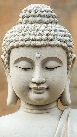 Stone Buddha head statue with calm closed eyes and detail.