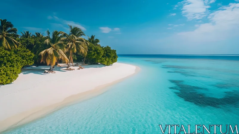 Tropical Island Beach Lagoon with Crystalline Turquoise Waters and Palm Vegetation