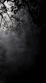 Moonlit foliage casting stark shadows on rough wall.