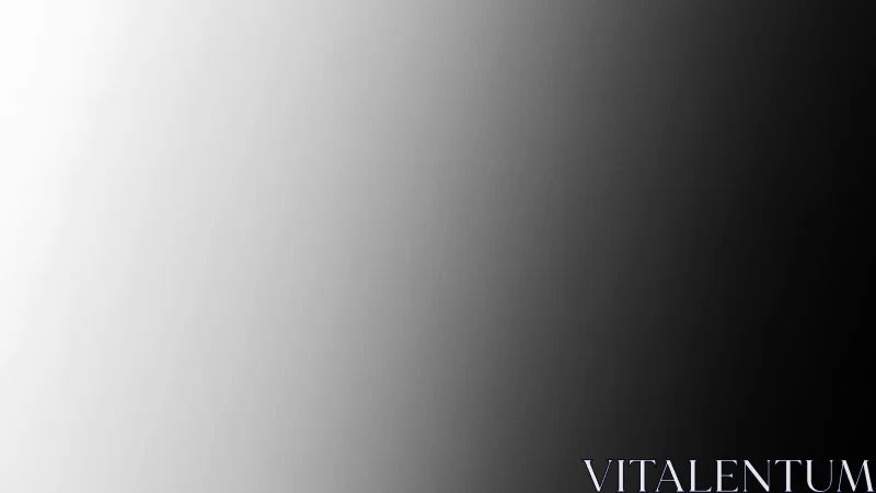 Soft grayscale gradient gently drifts from light to deep shadow