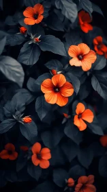 Botanical specimen with dark foliage and orange five-petal flowers.