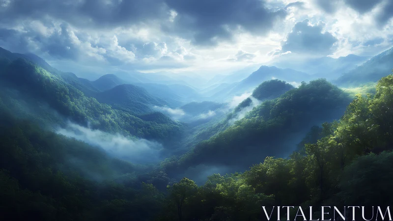 Mountain Valley with Mist and Layered Forest Coverage