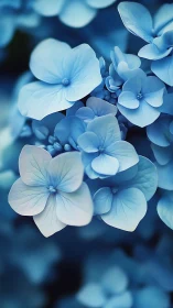 Blue Hydrangea Cluster: Shallow Depth Field Botanical Macro Study