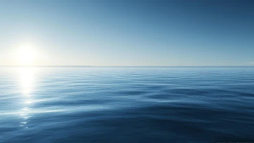 Calm open ocean horizon under clear morning sunlight.