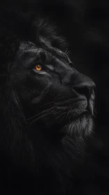 Black lion portrait in dark dramatic side profile view.