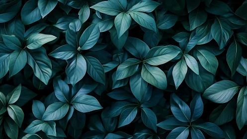 Dark teal tropical leaves forming dense natural pattern.