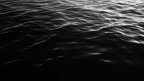 Monochrome ocean ripples glide across a calm, shadowed surface
