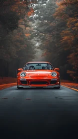 Scarlet sports coupe centered on misty autumn forest road.