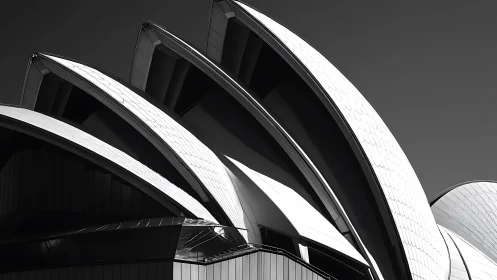 Modern shell-like roof structures in monochrome detail.
