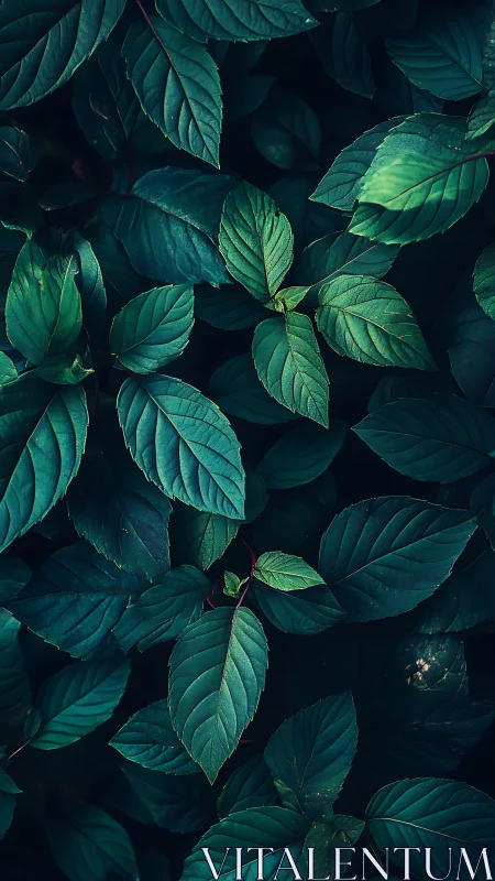 Deep teal foliage creates a moody, calming botanical pattern