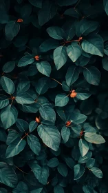 Midnight teal leaves cradling ember-bright budding whispers.