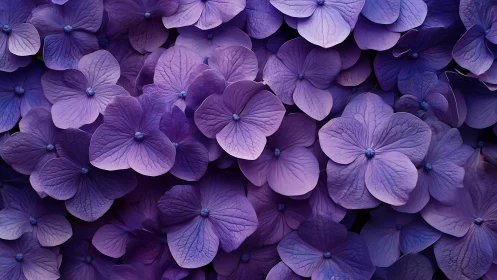Dense Purple Hydrangea Blooms in Layered Floral Composition
