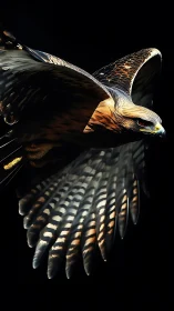 Golden eagle cuts through darkness in dramatic flight